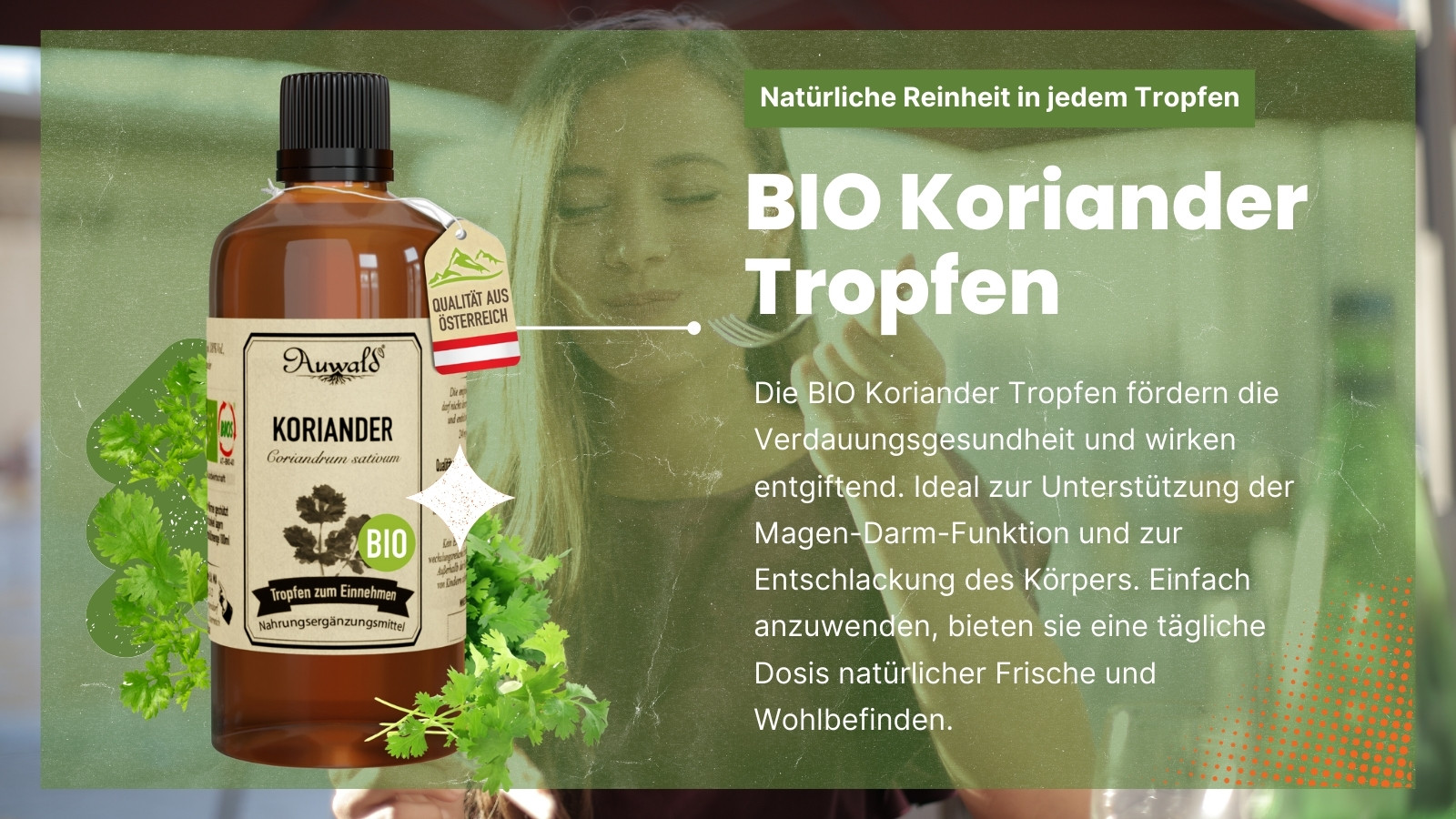 BIO Koriander Tropfen von Auwald